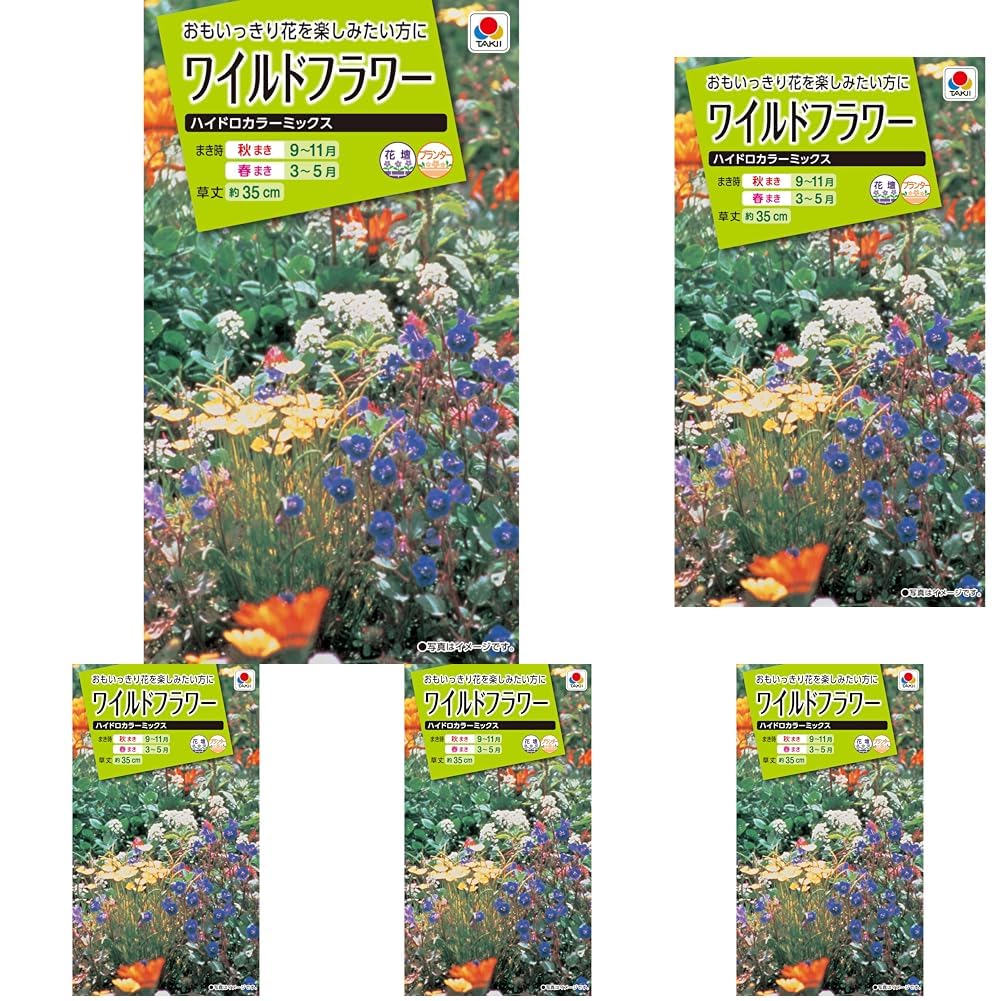 Amazon | タキイ種苗 ワイルドフラワーハイドロカラーミックス (× 5) | 草